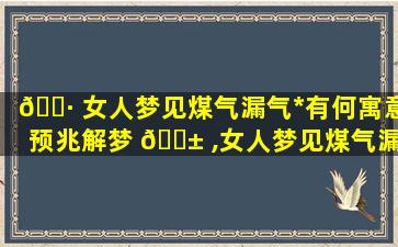 🕷 女人梦见煤气漏气*
有何寓意预兆解梦 🐱 ,女人梦见煤气漏气*
有何寓意预兆解梦是什么